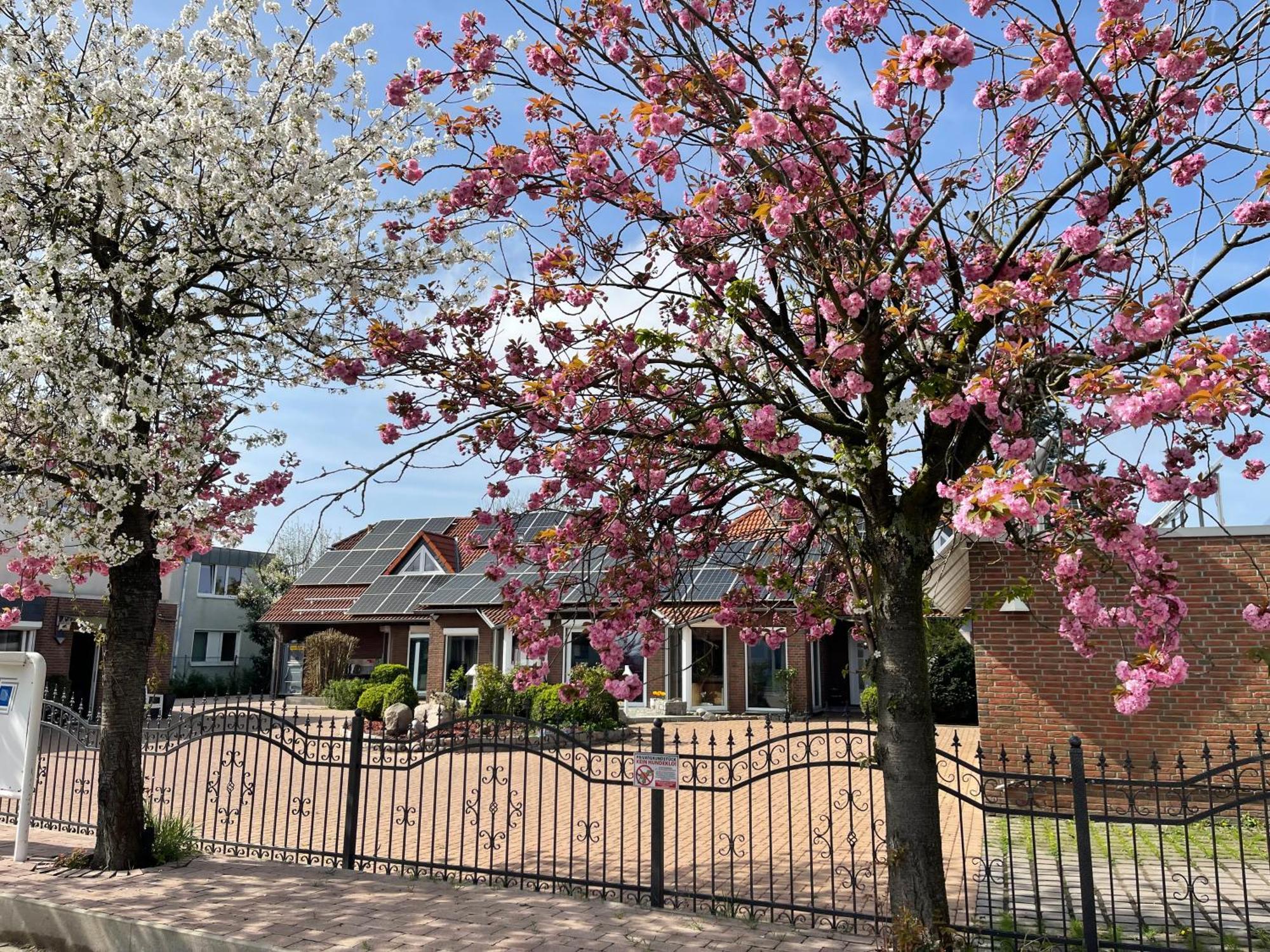 Modern House Gehrden Auf 2 Etagen, Nice Garten, Barbecue, Contactless Check-In, Free Parking Exterior foto